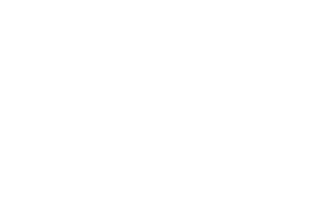 Yoga Palme