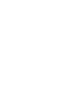 Yoga Palme Logo white