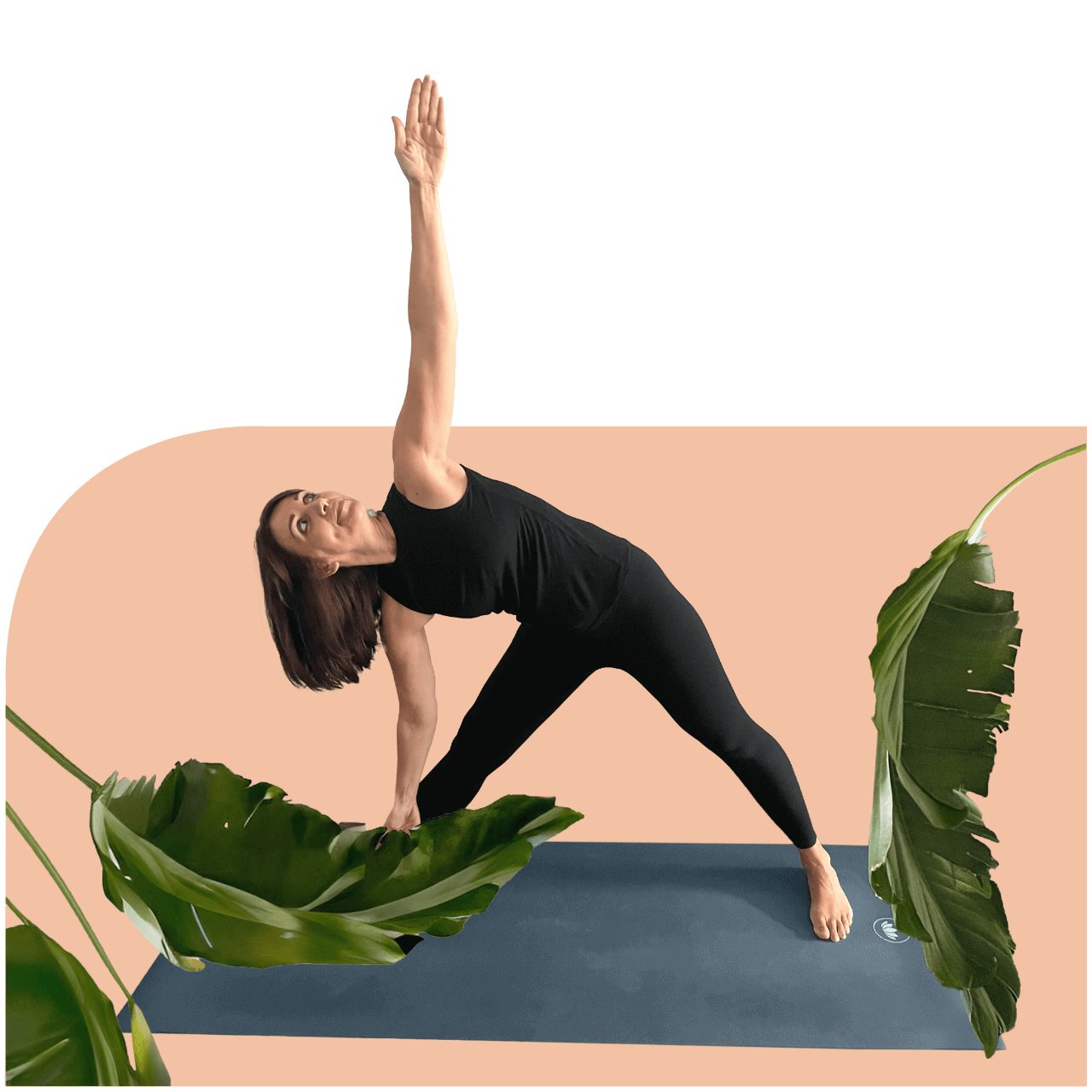 Yoga Palme Pose 3